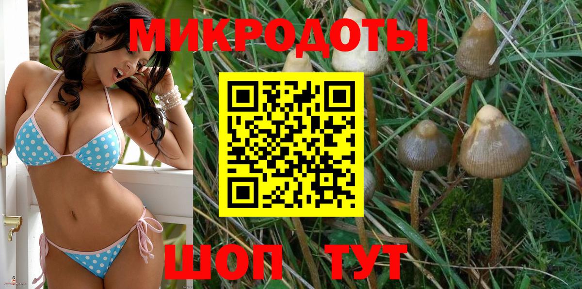 Заволжье  Галлюциногенные грибы GOLDEN TEACHER  хочу наркоту  Вход с VPN 
