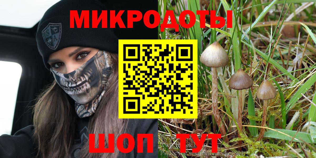 Галлюциногенные грибы прущие грибы Заволжье